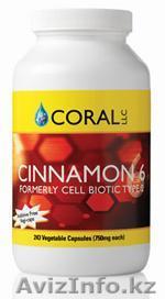 Продаётся средство для понижения уровня сахара и холестерина в крови - Изображение #1, Объявление #1790