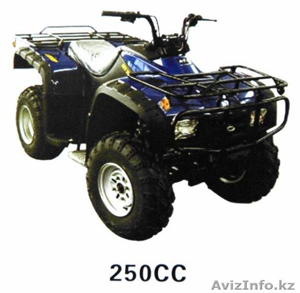 Квадроцикл 250 кубиков - Изображение #1, Объявление #2803