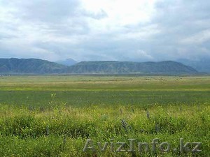 гектар;полевной, - Изображение #1, Объявление #24680