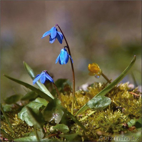 Выполню письменные переводы: англ.\рус., рус.\англ. - Изображение #1, Объявление #24118