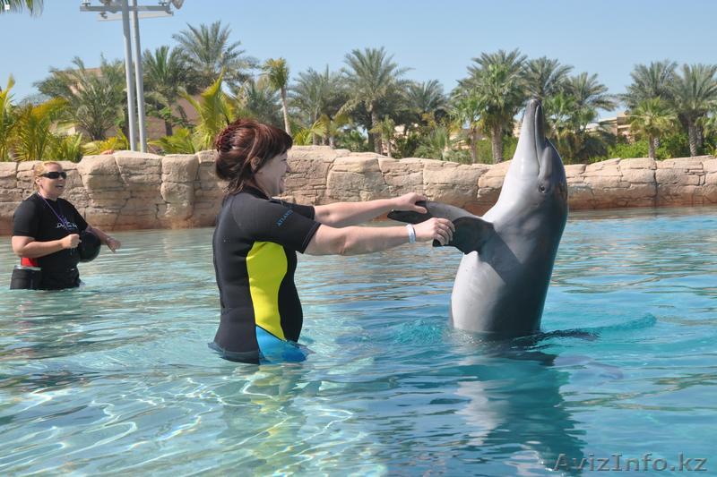 Путешествуя -зарабатываю! Мечта каждого!! - Изображение #1, Объявление #28652