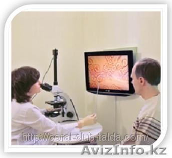 Гемосканирование-диагностика по живой капле крови - Изображение #1, Объявление #33314