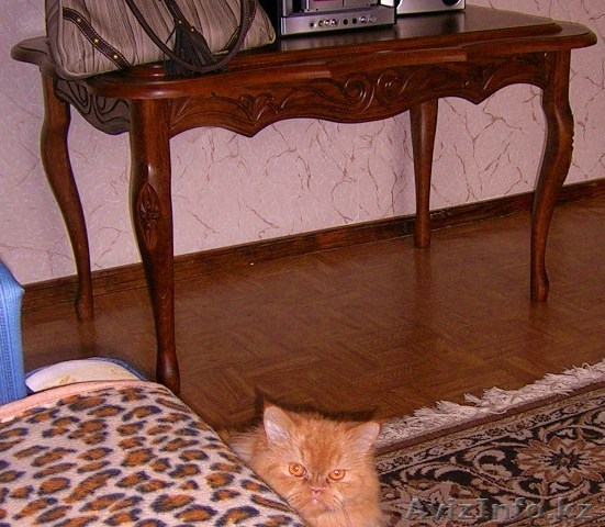 Столи журнальный. Дуб. 9500тг. Палас чешский.Вишня. 19000тг - Изображение #1, Объявление #28060