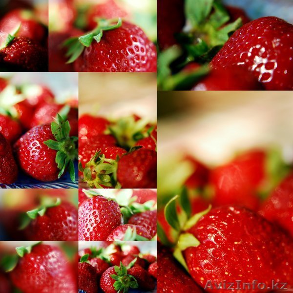 Заявки на польскую клубнику 2010  - Изображение #1, Объявление #37879