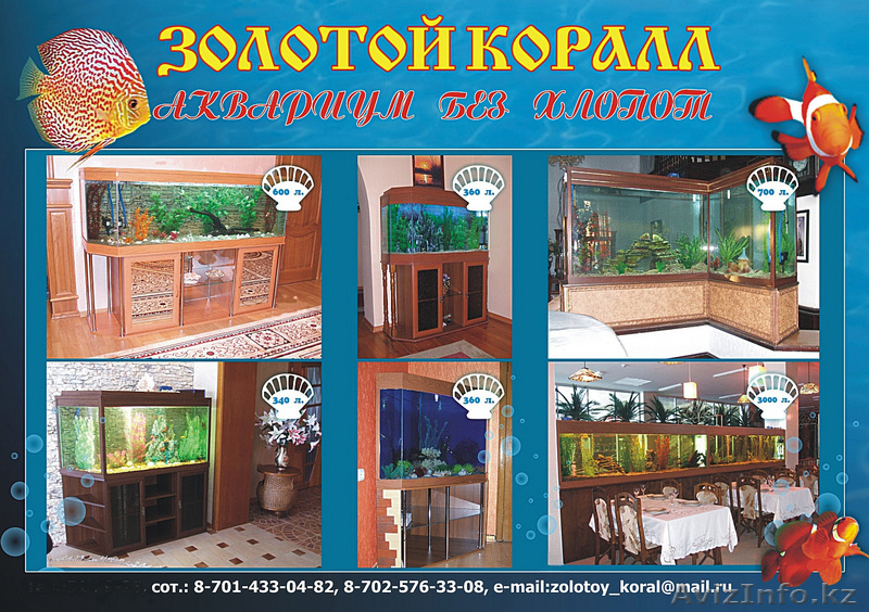 ИП Соколов "Золотой коралл" - Изображение #1, Объявление #43453