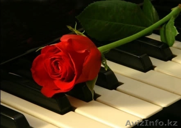 Студия Вокала  - Изображение #1, Объявление #44372