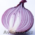 Принимаем ЗАЯВКИ на поставку ЛУКА на сезон осень-2010 - Изображение #1, Объявление #55913