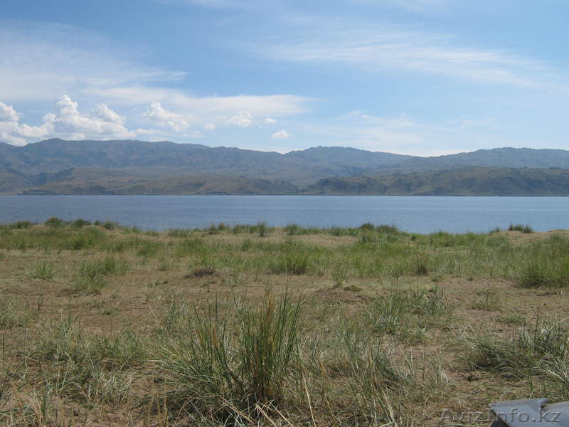 Участок 1 Га Бухтарминское водохранилище - Изображение #1, Объявление #77496