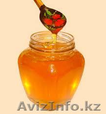 Горный пчелиный МЁД - Изображение #1, Объявление #78848