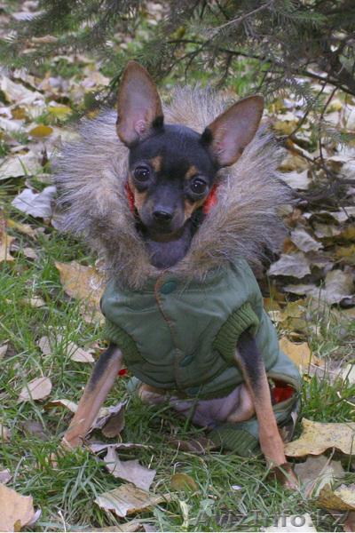 8 702  354 67 89 - Изображение #1, Объявление #113523