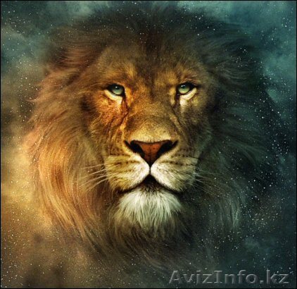 Сухое молоко, сливочное масло, яичный порошок оптом - прямые поставки от произво - Изображение #1, Объявление #110582