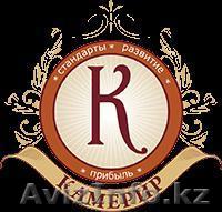 Бухгалтерские профессиональные услуги. Регистрация ТОО и ИП. - Изображение #1, Объявление #94790