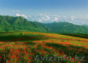 Экскурсии по Алматы - Изображение #1, Объявление #133769