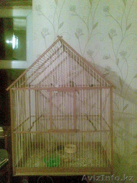 Продам клетку для канареек - Изображение #1, Объявление #155096