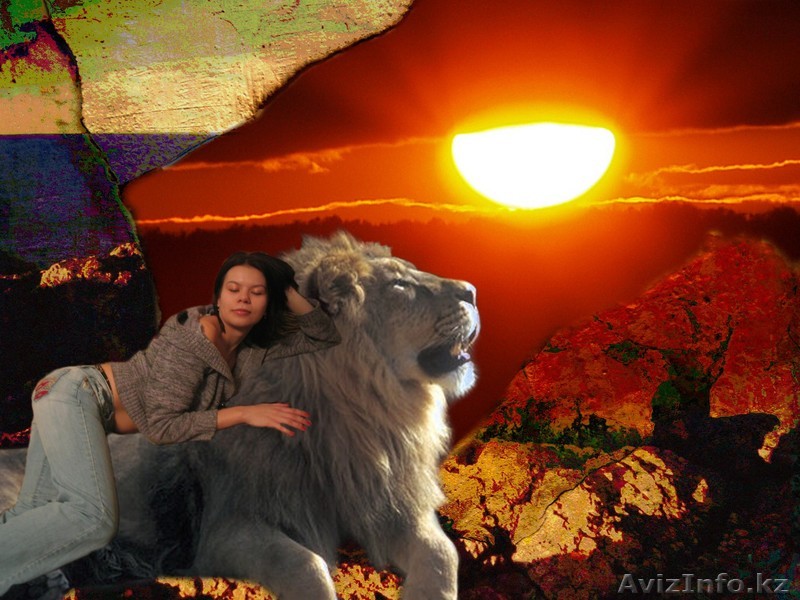 Лучший подарок на любой праздник - Изображение #1, Объявление #139429