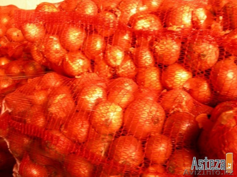 ЛУК (репчатый, голанка) - Изображение #1, Объявление #160013