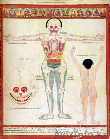 КОМПЬЮТЕРНАЯ ДИАГНОСТИКА ОРГАНИЗМА - Изображение #1, Объявление #162932