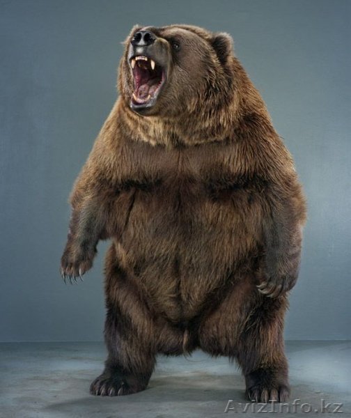 Voennaja pensija2010 - Изображение #1, Объявление #189470