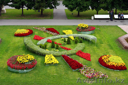 ОЗЕЛЕНЕНИЕ. ЛАНДШАФТНЫЙ ДИЗАЙН. ПРОФЕССИОНАЛЬНО - Изображение #1, Объявление #196099