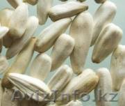 Частное лицо       Нурзия - Изображение #1, Объявление #208992