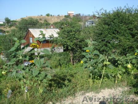 Продам дачу с участком 20 соток - Изображение #1, Объявление #256603