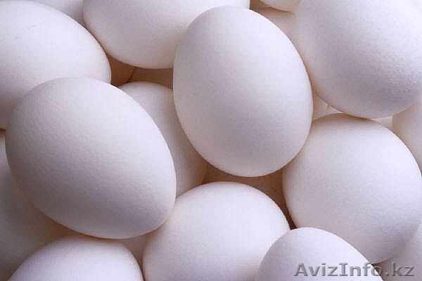 ПРОДАМ ЯЙЦО КУРИНОЕ - Изображение #1, Объявление #306837