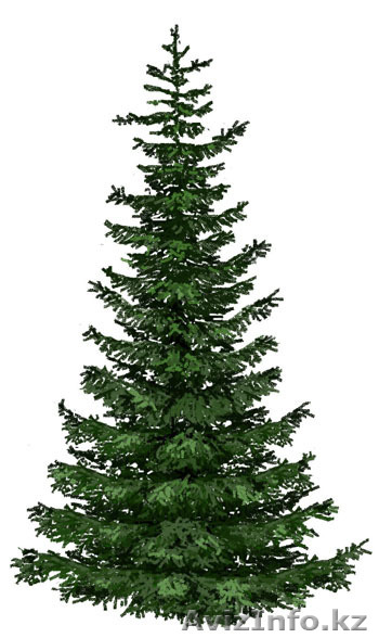 устройство газона. озеленение - Изображение #1, Объявление #296445