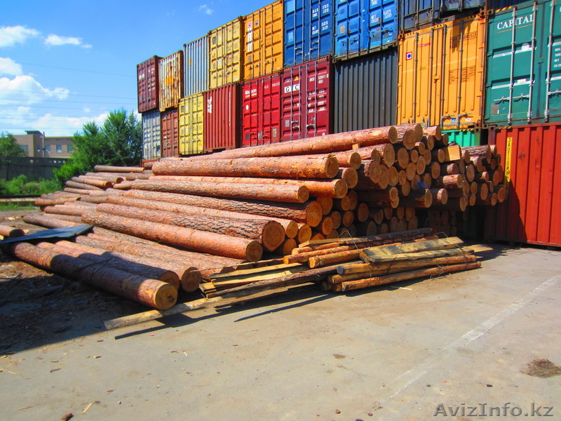 Продам лес кругляк, ангарская сосна - Изображение #1, Объявление #296680