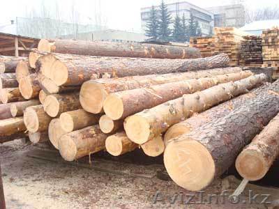 87016484428 звоните - Изображение #1, Объявление #296796