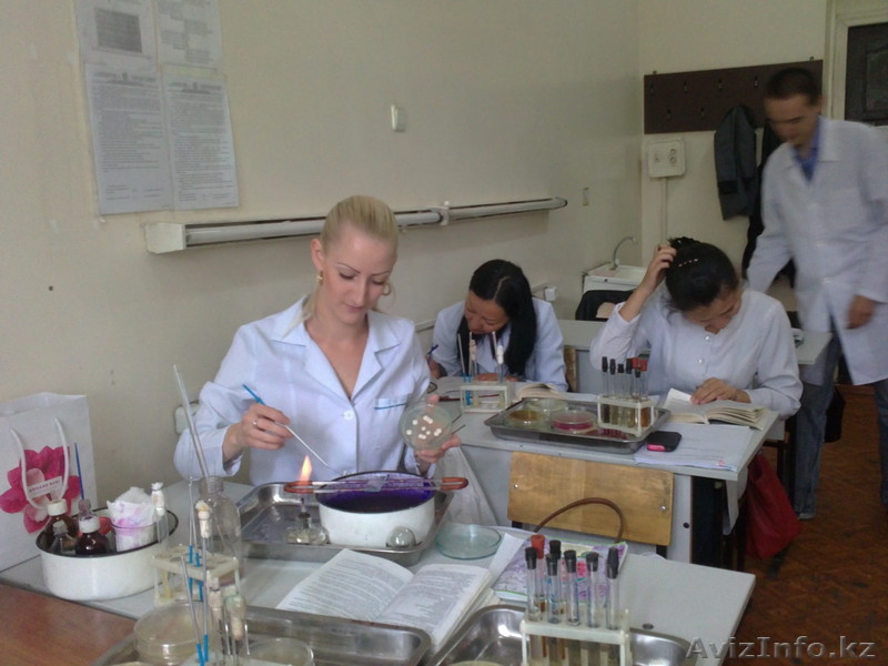 Медицинские  услуги - Изображение #1, Объявление #310010