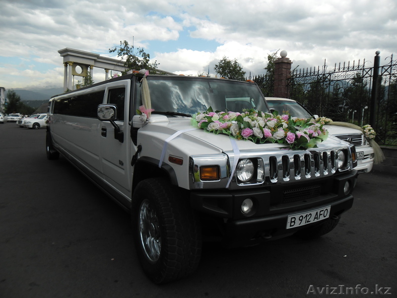 Go Premium пассажирские перевозки - Изображение #1, Объявление #327944