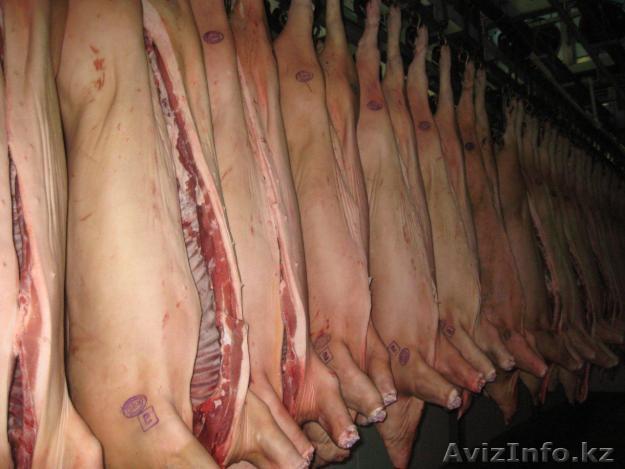 Реализуем со склада в Алмате говядину и свинину оптом. - Изображение #1, Объявление #358139