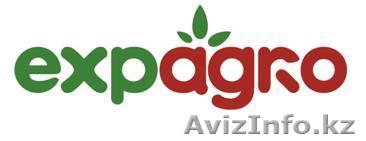 Продам овощи собственного производства - Изображение #1, Объявление #364223