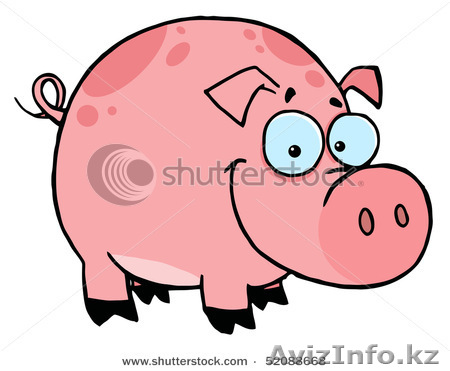 Продам поросят по цене ниже рыночной ! - Изображение #1, Объявление #364665