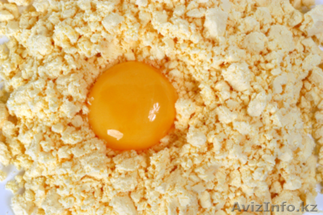 Яичный порошок российского производства  - Изображение #1, Объявление #393511