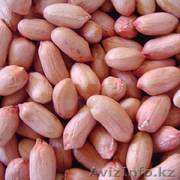 Арахис очищенный – (Китай)  - Изображение #1, Объявление #393489