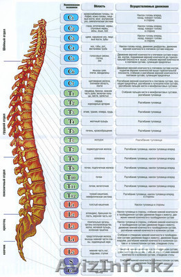 МАССАЖНЫЙ КАБИНЕТ - Изображение #1, Объявление #386833