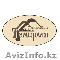 Тур. фирма «ТЕМИРЛАН»  -  тур.поездки, отдых и учеба за рубежом  - Изображение #1, Объявление #422605