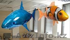 Airswimmers Almaty - Изображение #1, Объявление #452405