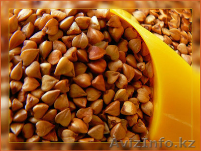 Торговая компания ТОО НУР-БАРАКА - Изображение #1, Объявление #454192