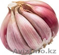 Чеснок свежий,иссыккульский,фиолетовый и белый,сорт "бройлер" - Изображение #1, Объявление #435663