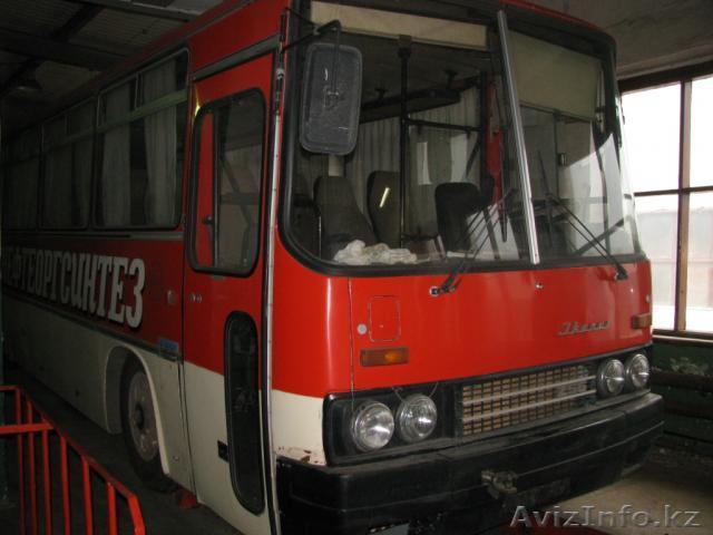 Продам икарусы 91-92.г. - Изображение #1, Объявление #472541