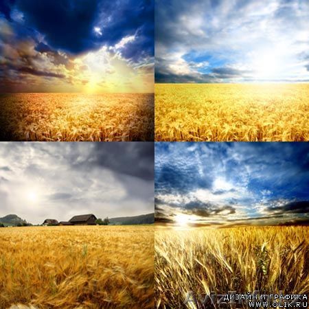 продам удобрения селитру - Изображение #1, Объявление #501017