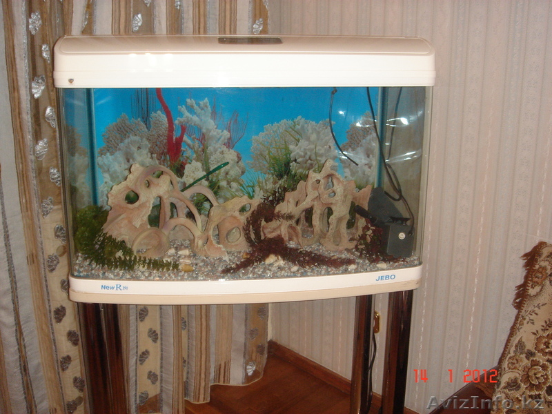 Аквариум на 200 литров, полностью упакован - Изображение #1, Объявление #505918