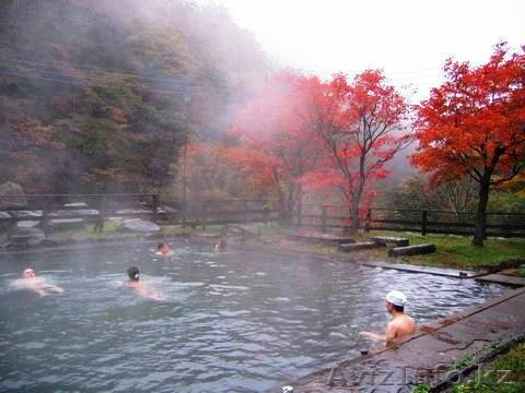  веселый оздоровительный отдых - Изображение #1, Объявление #508457