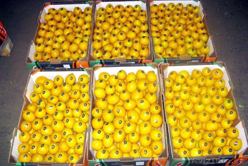 Продам Лимоны тонкошкурные натуральные - Изображение #1, Объявление #504279