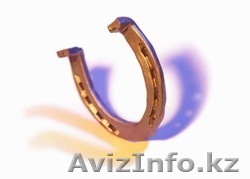 Астрологическое гадание на 91бобах - Изображение #1, Объявление #492935