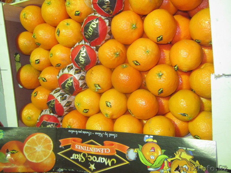 Мандарин Марокко Нур - Изображение #1, Объявление #449544