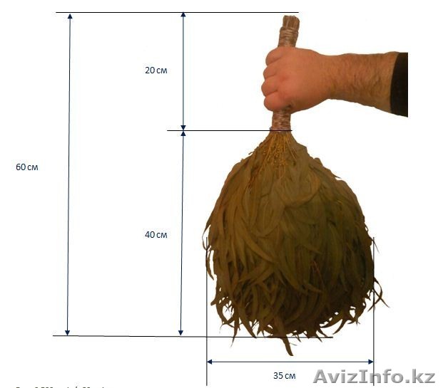 Веник для бани эвкалиптовый из Грузии - Изображение #1, Объявление #501921