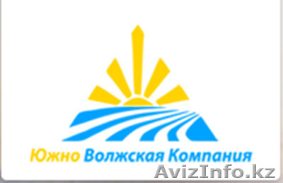 Продаем соленую, слабосоленую морскую рыбу оптом - Изображение #1, Объявление #498901